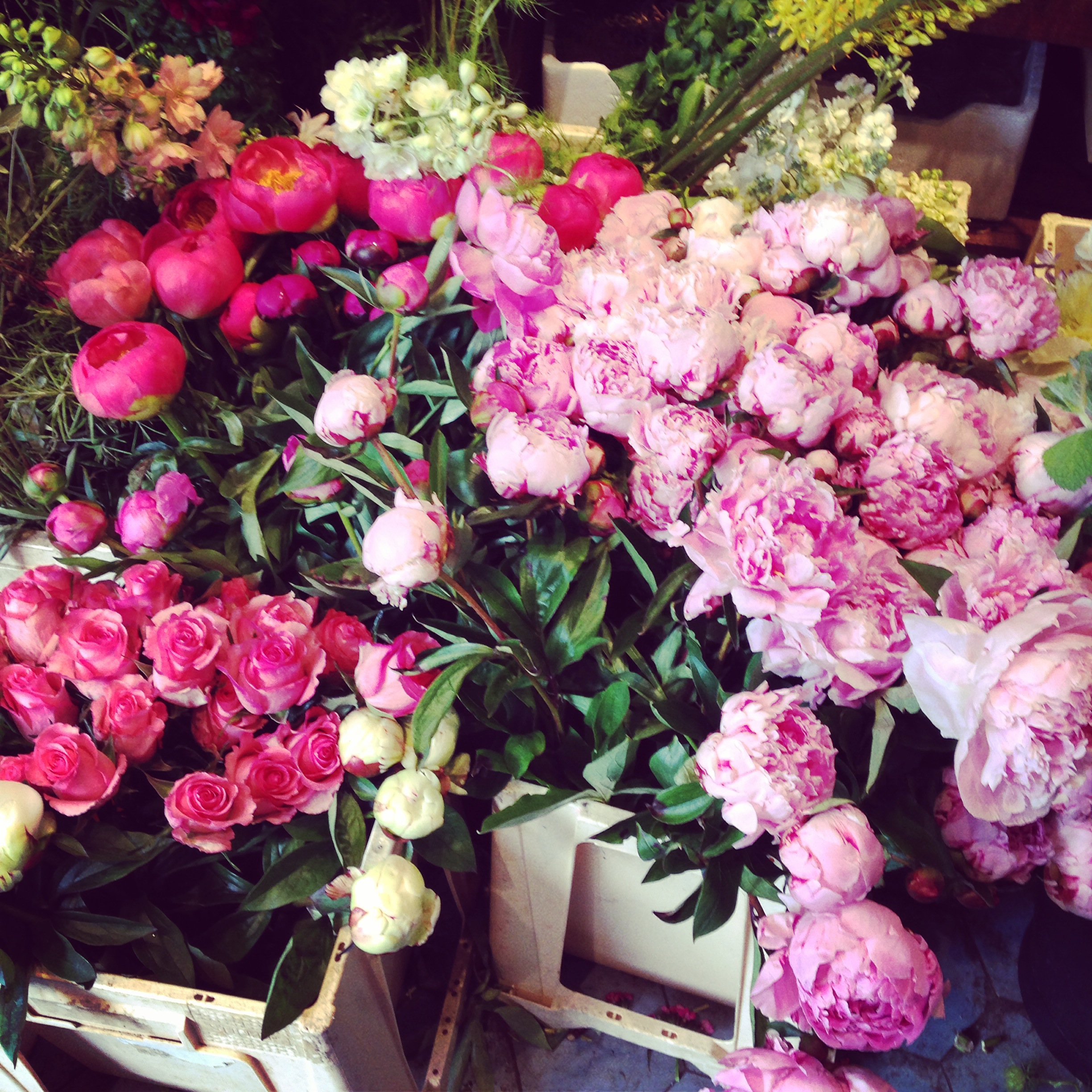 Fresh flowers